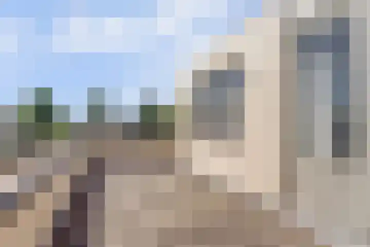 Moerbeeklaan 32 Heerhugowaard thumbnail 31