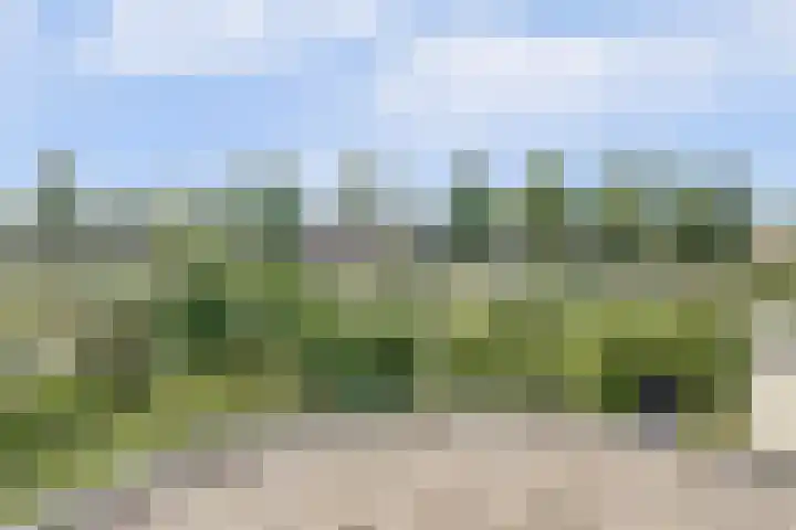 Moerbeeklaan 32 Heerhugowaard thumbnail 32