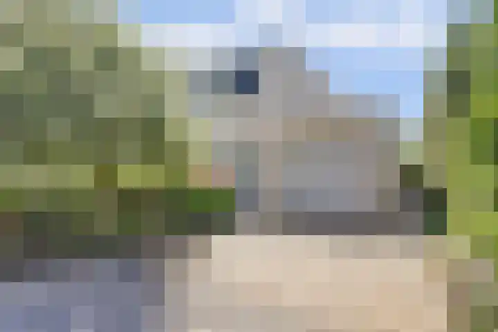 Moerbeeklaan 32 Heerhugowaard thumbnail 39