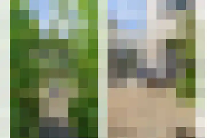 Moerbeeklaan 32 Heerhugowaard thumbnail 46
