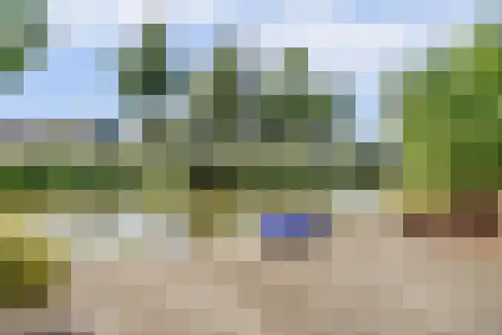 Moerbeeklaan 32 Heerhugowaard thumbnail 47