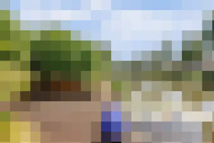 Moerbeeklaan 32 Heerhugowaard thumbnail 48