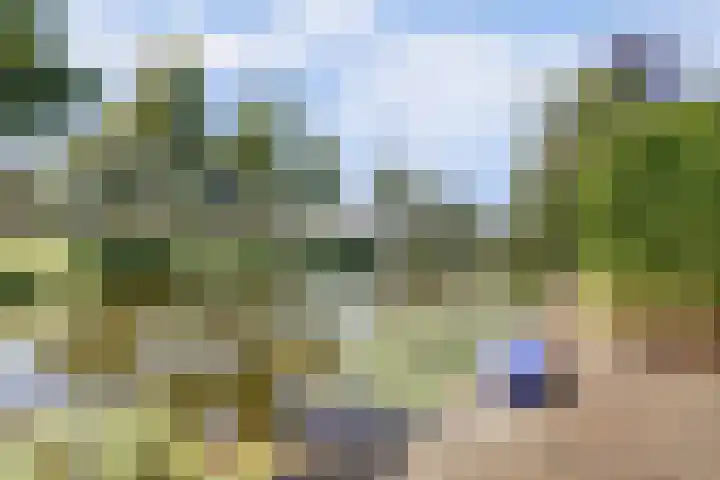 Moerbeeklaan 32 Heerhugowaard thumbnail 49