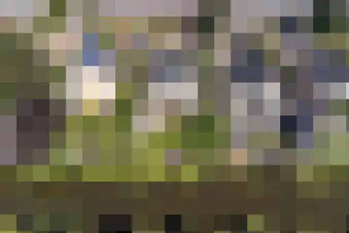 Moerbeeklaan 32 Heerhugowaard thumbnail 51