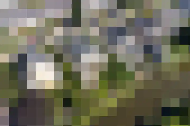 Moerbeeklaan 32 Heerhugowaard thumbnail 52