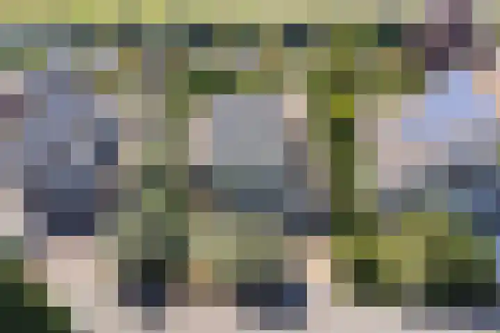 Moerbeeklaan 32 Heerhugowaard thumbnail 53