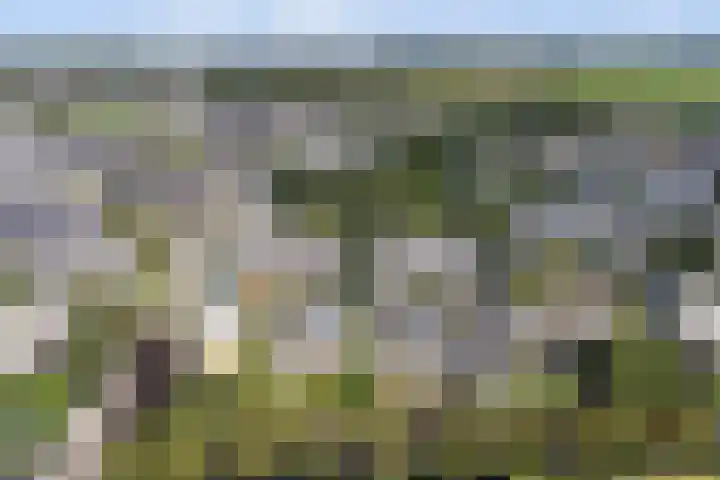 Moerbeeklaan 32 Heerhugowaard thumbnail 55