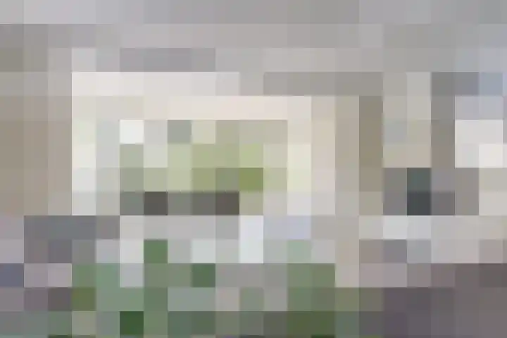 Moerbeeklaan 32 Heerhugowaard thumbnail 7