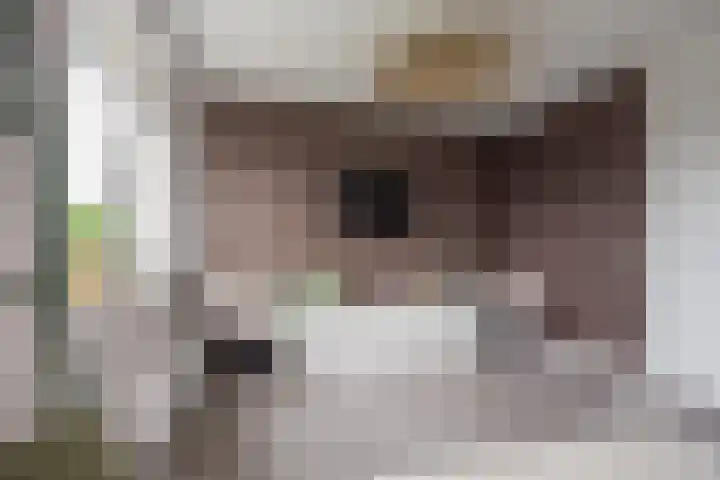 Moerbei 10 Nijkerk thumbnail 15