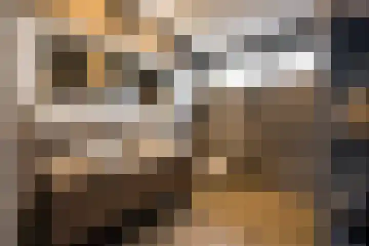 Moerbei 10 Nijkerk thumbnail 16