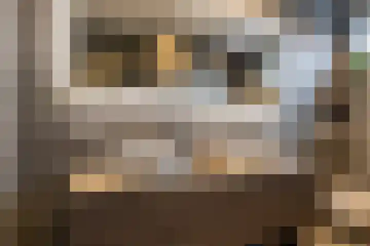 Moerbei 10 Nijkerk thumbnail 17