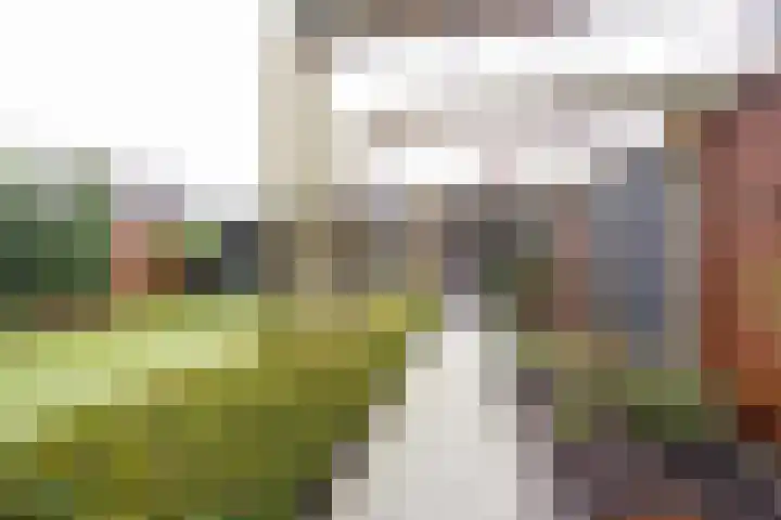 Moerbei 10 Nijkerk thumbnail 30