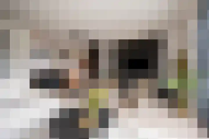 Moerbei 10 Nijkerk thumbnail 4