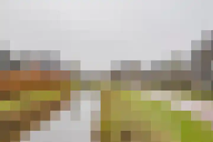 Moerbei 10 Nijkerk thumbnail 41