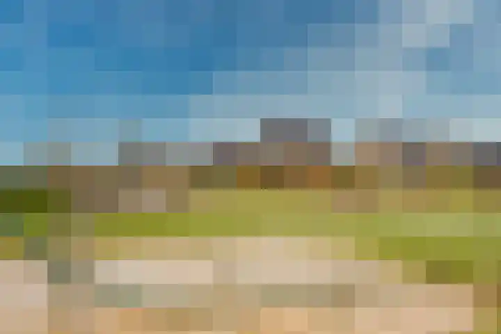 Moerbei 10 Nijkerk thumbnail 42