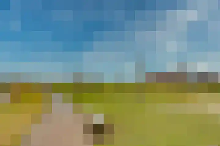 Moerbei 10 Nijkerk thumbnail 43