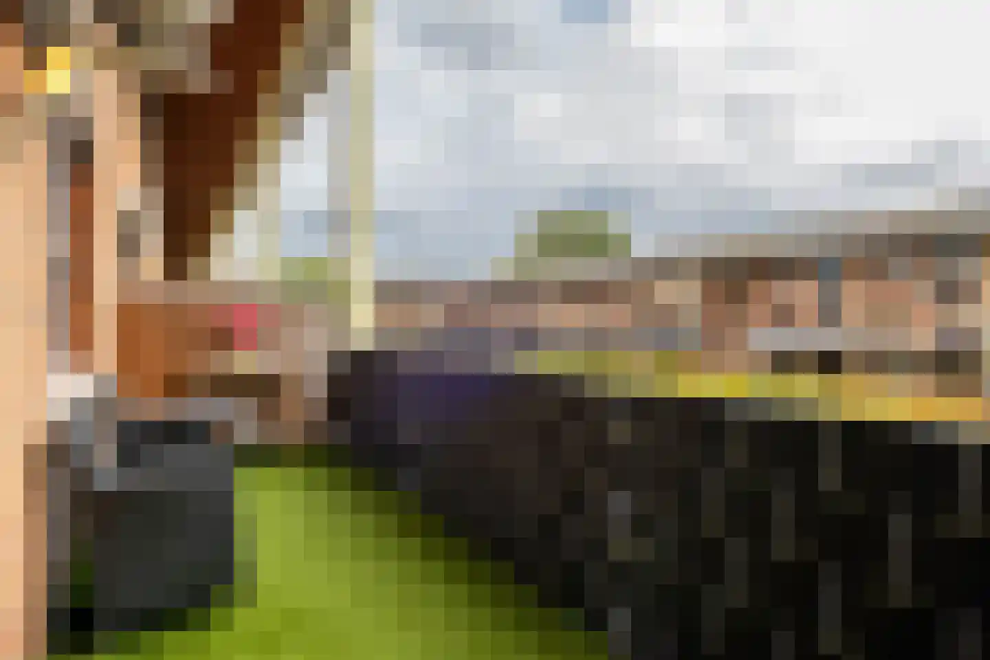 Moerbei 35 Bergen op Zoom thumbnail 17