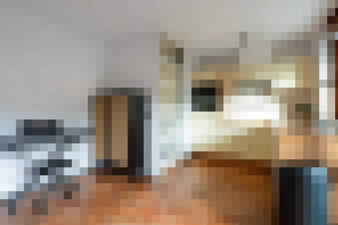 Moerbei 35 Bergen op Zoom thumbnail 35