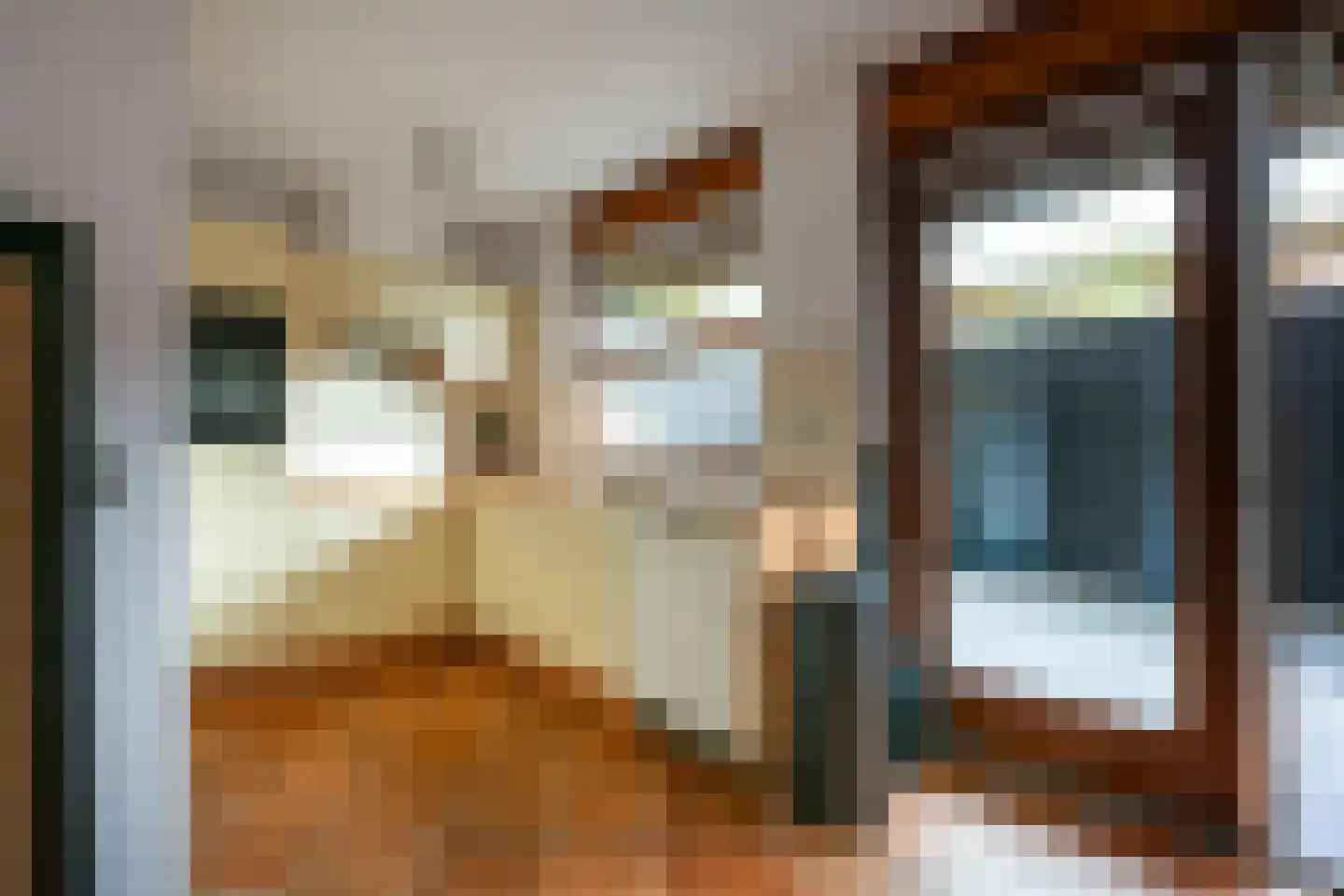 Moerbei 35 Bergen op Zoom thumbnail 36