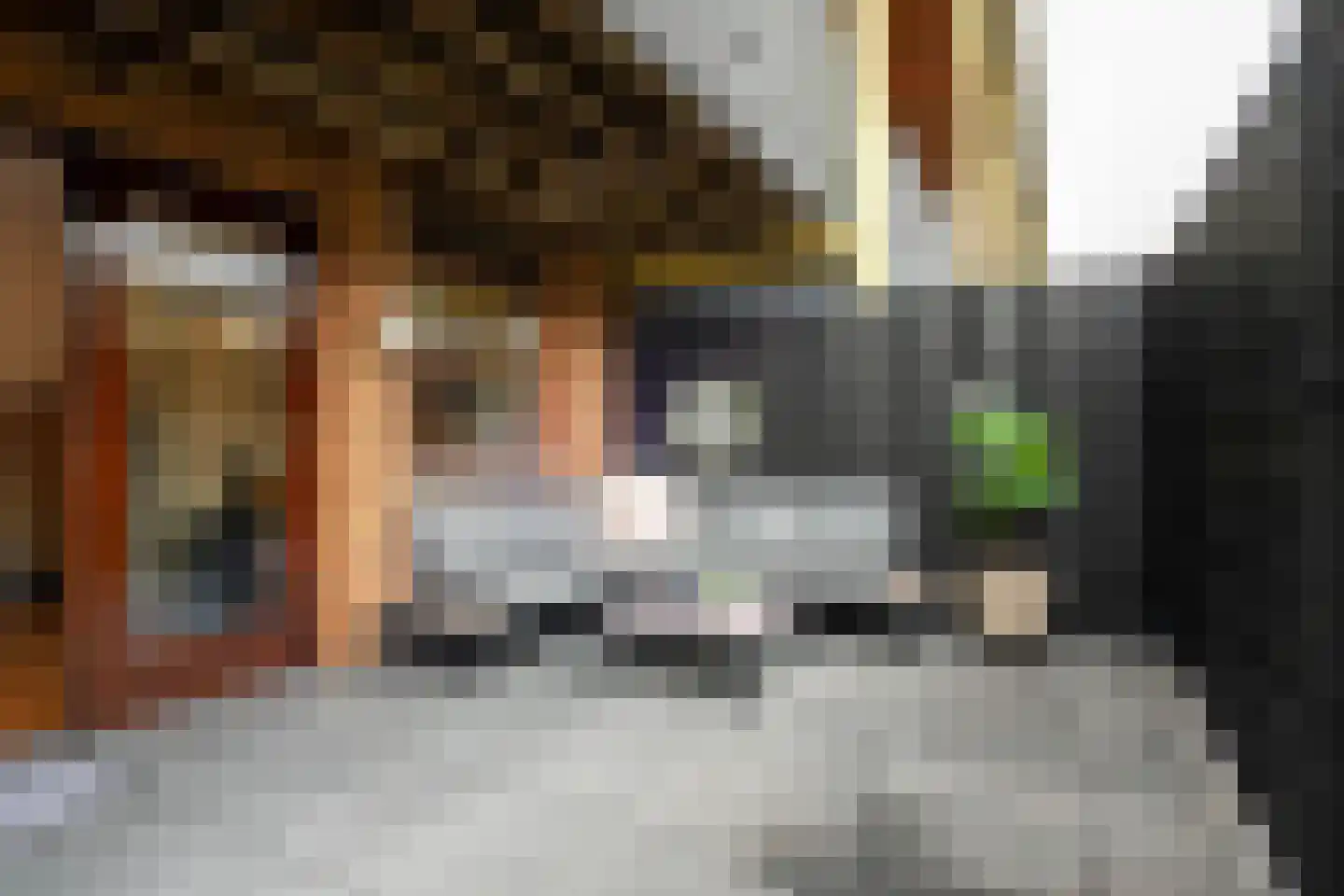 Moerbei 35 Bergen op Zoom thumbnail 39