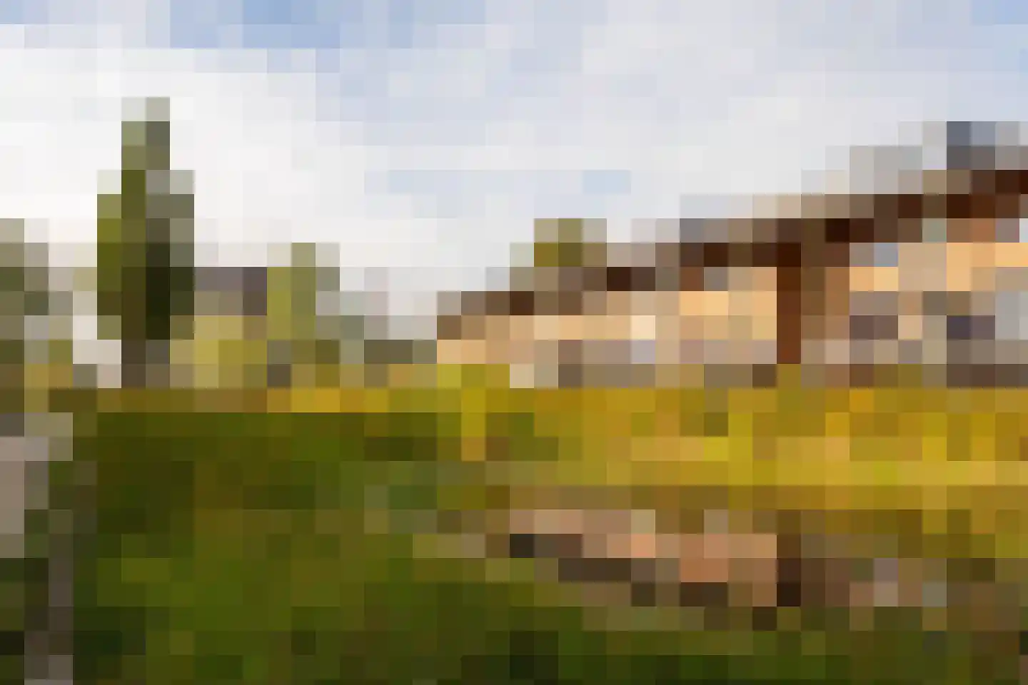 Moerbei 35 Bergen op Zoom thumbnail 43