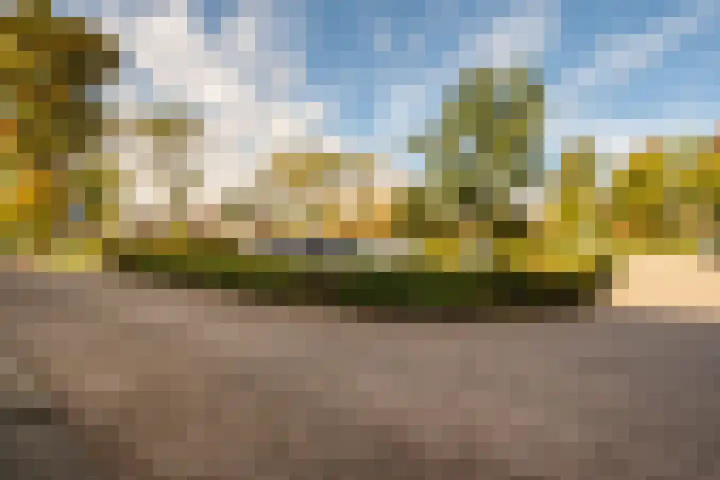 Moerbei 35 Bergen op Zoom thumbnail 46