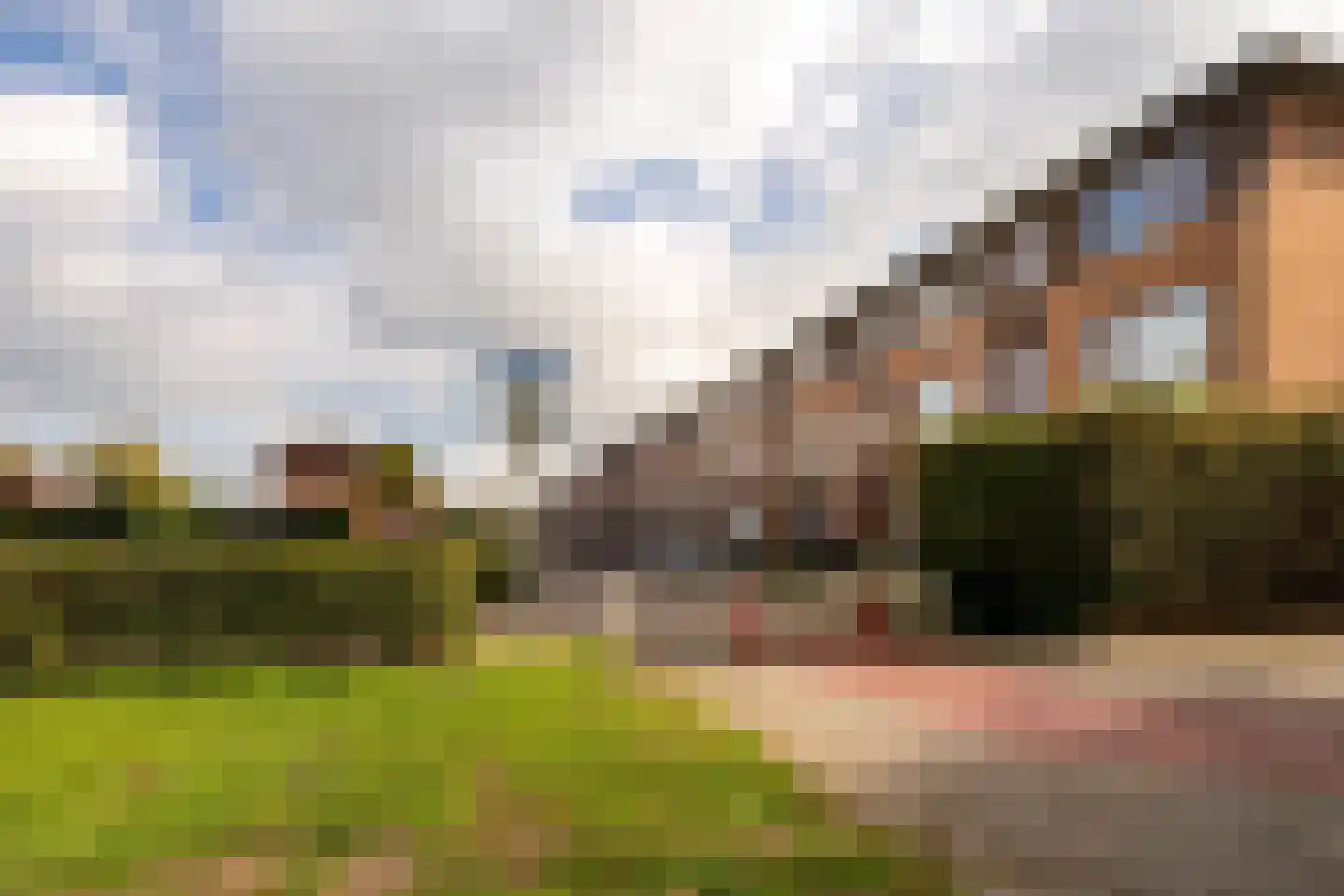 Moerbei 35 Bergen op Zoom thumbnail 47