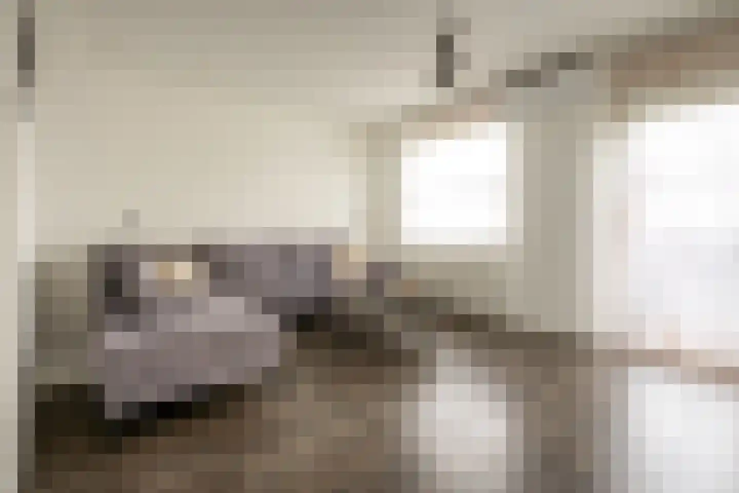 Moerbei 35 Bergen op Zoom thumbnail 8