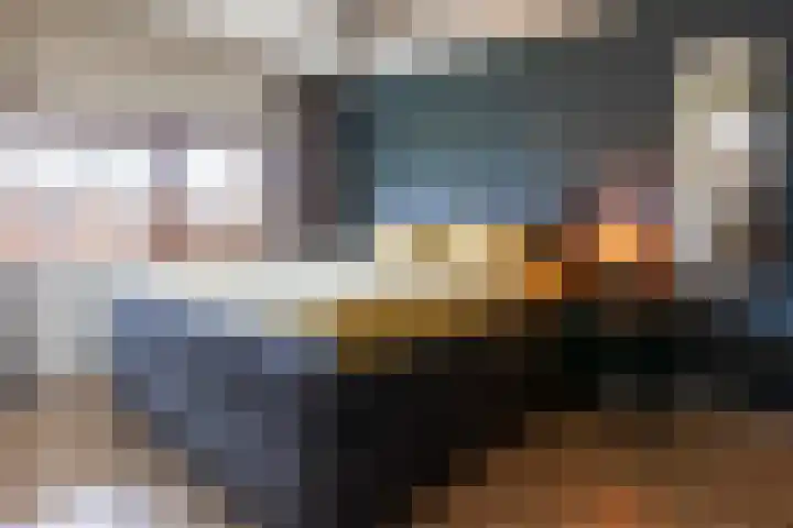 Moerbei 36 Bergen op Zoom thumbnail 30