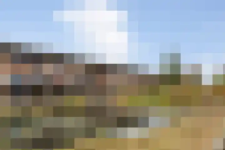 Moerbei 36 Bergen op Zoom thumbnail 34