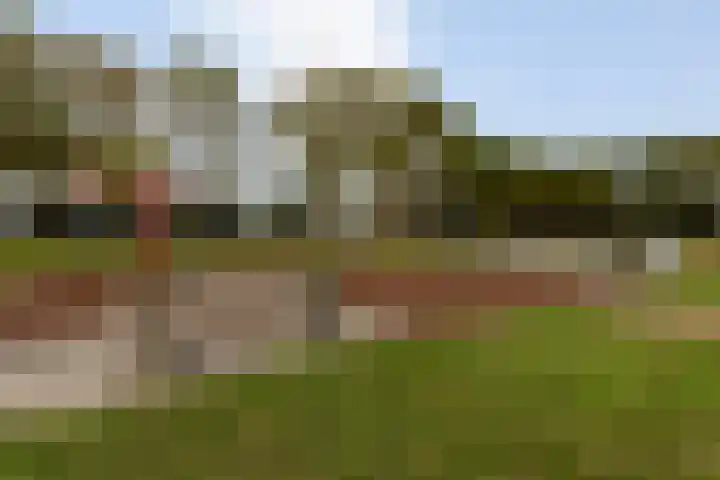 Moerbei 36 Bergen op Zoom thumbnail 36
