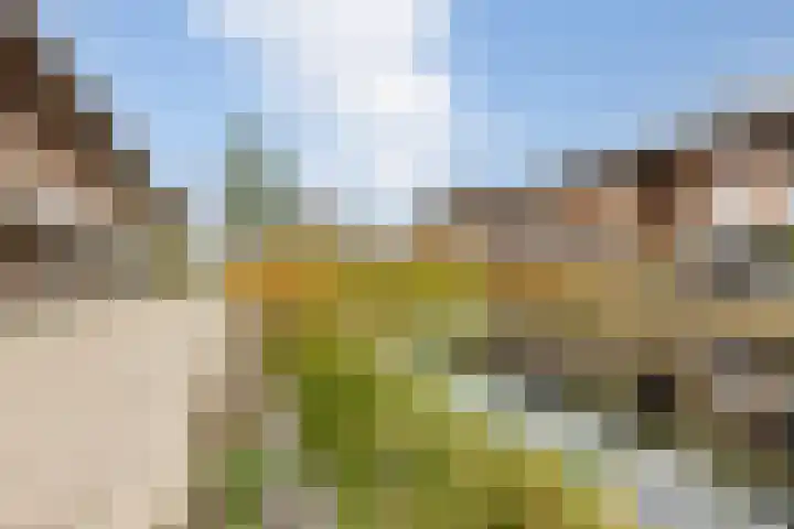 Moerbei 36 Bergen op Zoom thumbnail 4