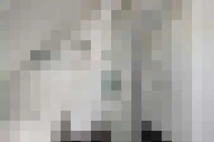 Moerbeibloesem 33 Doetinchem thumbnail 20