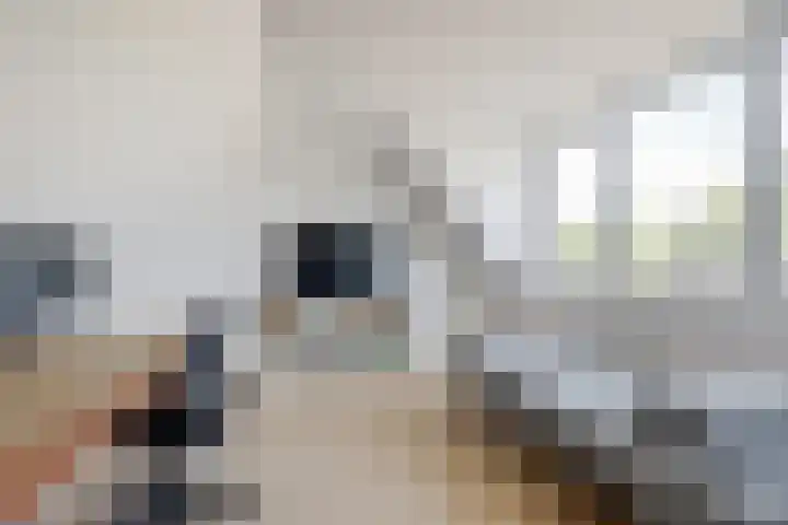 Moerbeibloesem 33 Doetinchem thumbnail 21