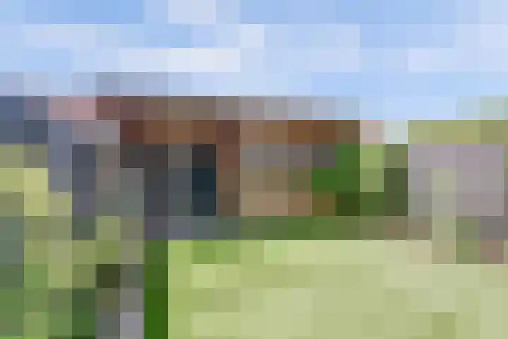 Moerbeibloesem 33 Doetinchem thumbnail 23