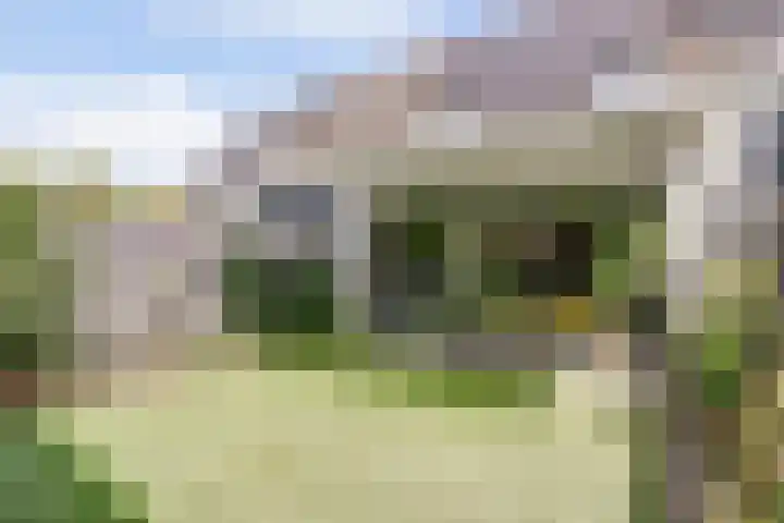 Moerbeibloesem 33 Doetinchem thumbnail 25