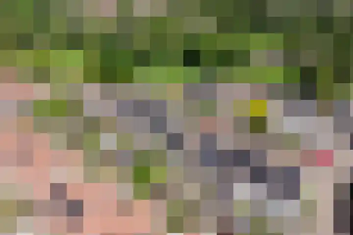 Moerbeibloesem 33 Doetinchem thumbnail 29