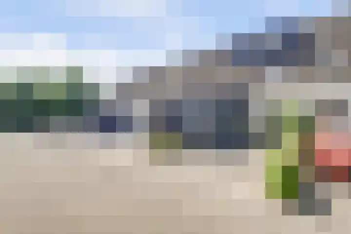 Moerbeibloesem 33 Doetinchem thumbnail 35