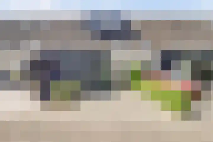 Moerbeibloesem 33 Doetinchem thumbnail 4