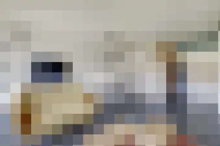 Moerbeibloesem 33 Doetinchem thumbnail 6