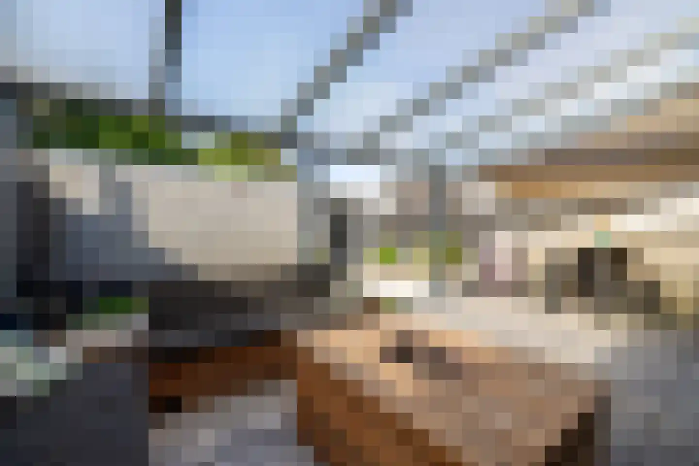 Moerbeibloesem 40 Doetinchem thumbnail 13