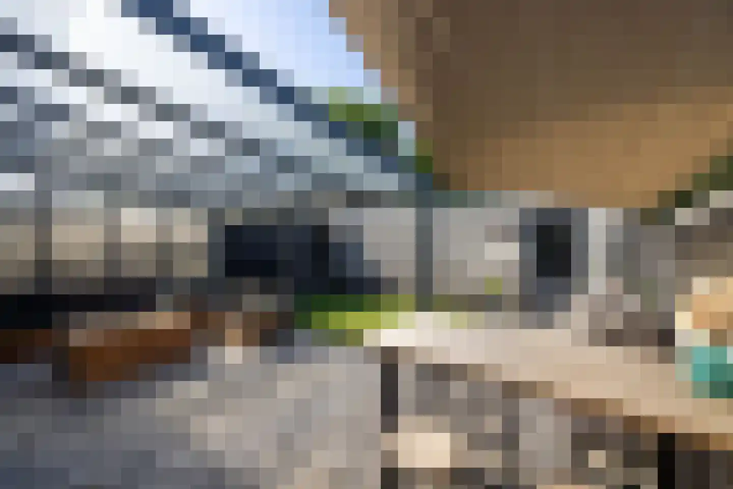 Moerbeibloesem 40 Doetinchem thumbnail 14