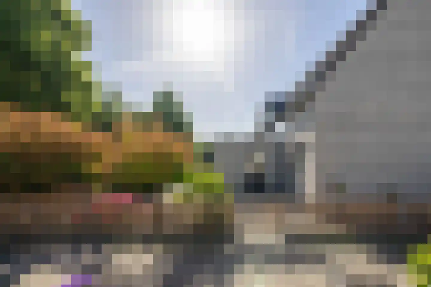 Moerbeibloesem 40 Doetinchem thumbnail 17