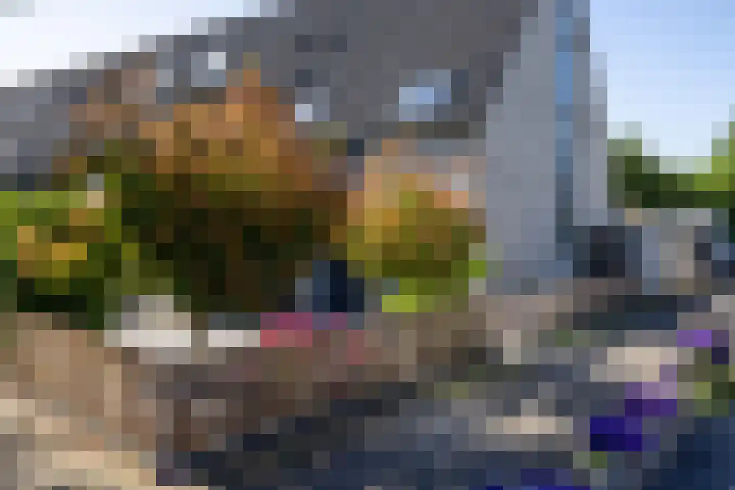 Moerbeibloesem 40 Doetinchem thumbnail 18