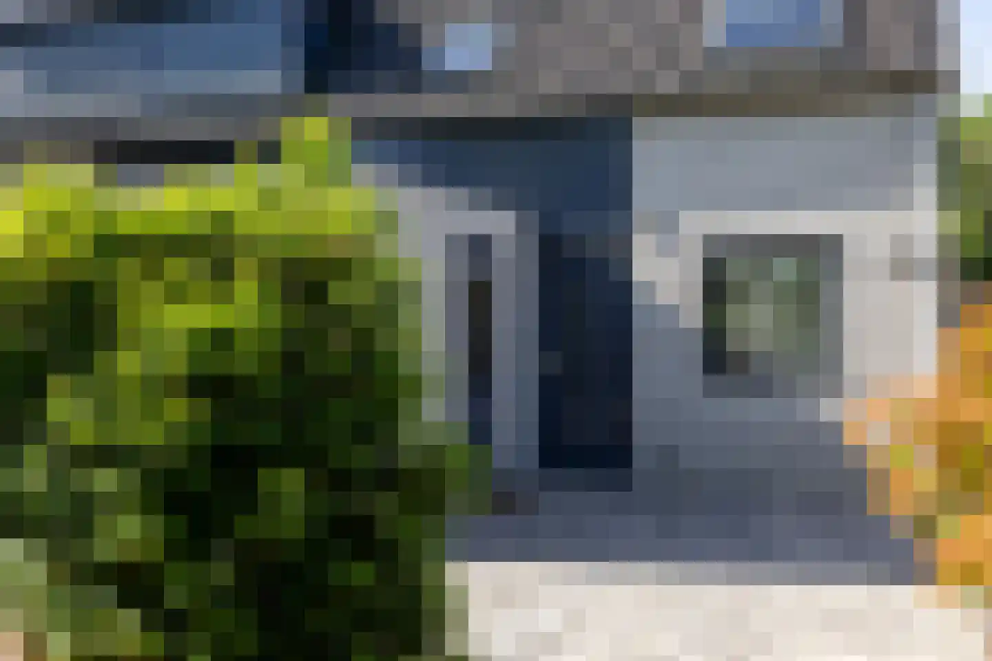 Moerbeibloesem 40 Doetinchem thumbnail 20