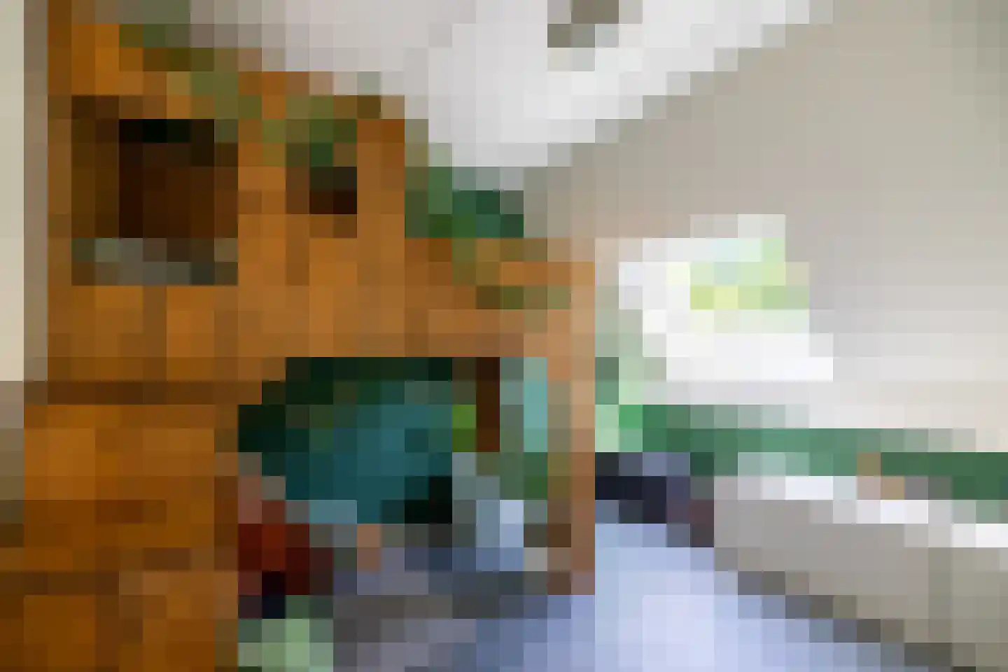 Moerbeibloesem 40 Doetinchem thumbnail 29