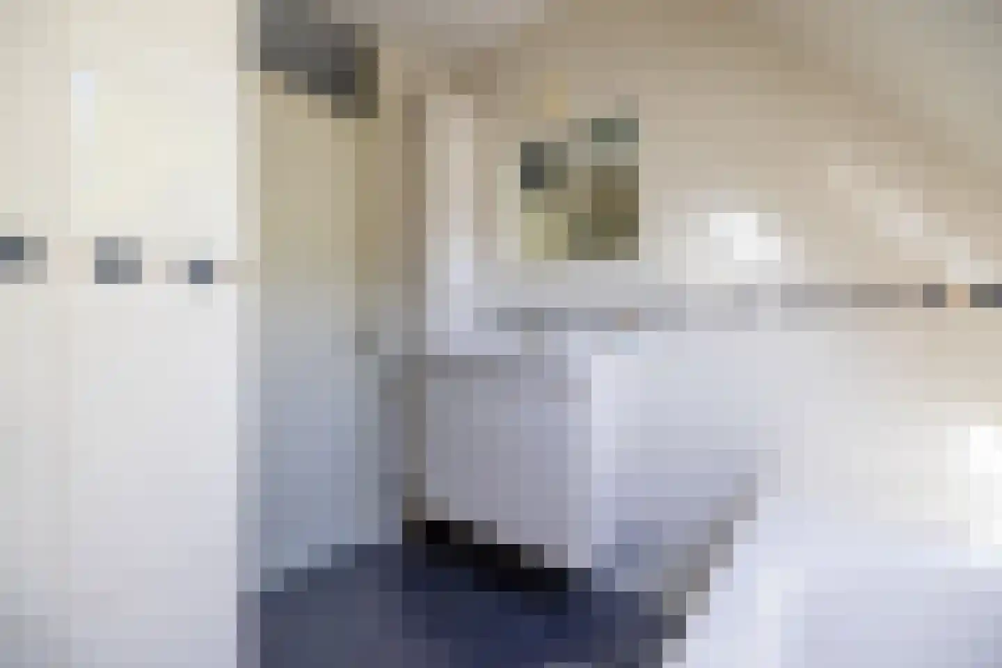 Moerbeibloesem 40 Doetinchem thumbnail 37