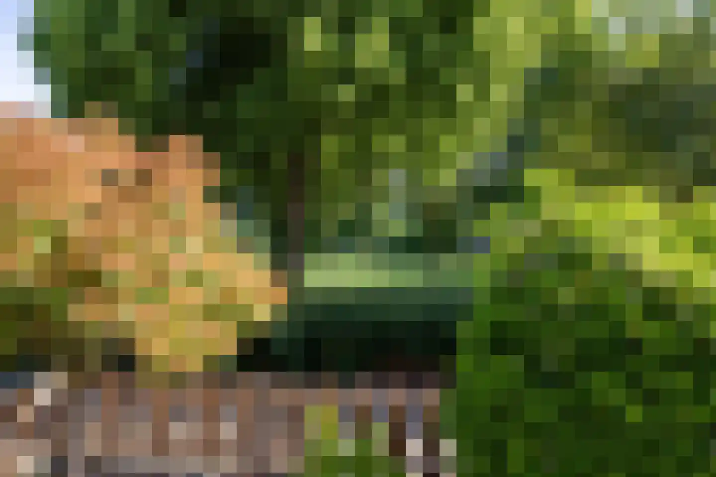 Moerbeibloesem 40 Doetinchem thumbnail 42