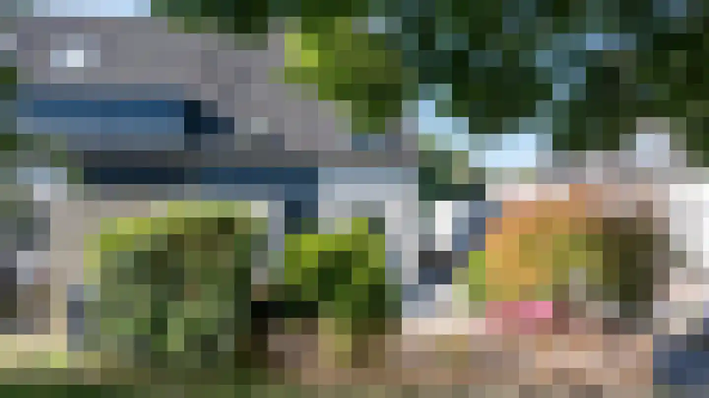 Moerbeibloesem 40 Doetinchem thumbnail 43