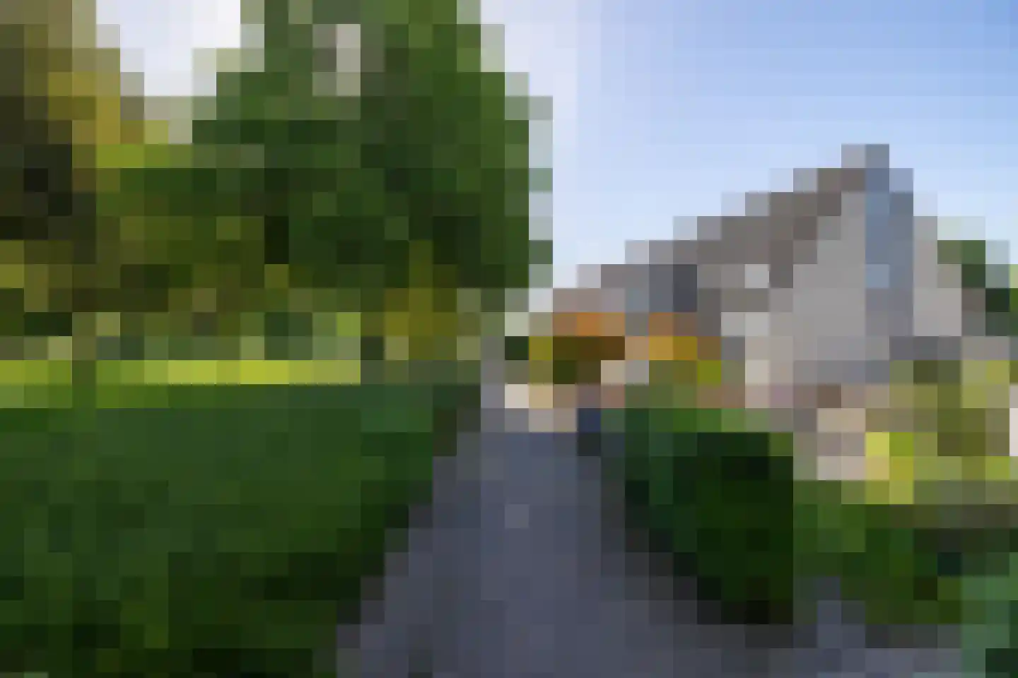 Moerbeibloesem 40 Doetinchem thumbnail 45